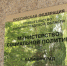 Глава региона подписал постановление о введении дополнительной меры соцподдержки для участников СВО - Гурьевский городской округ